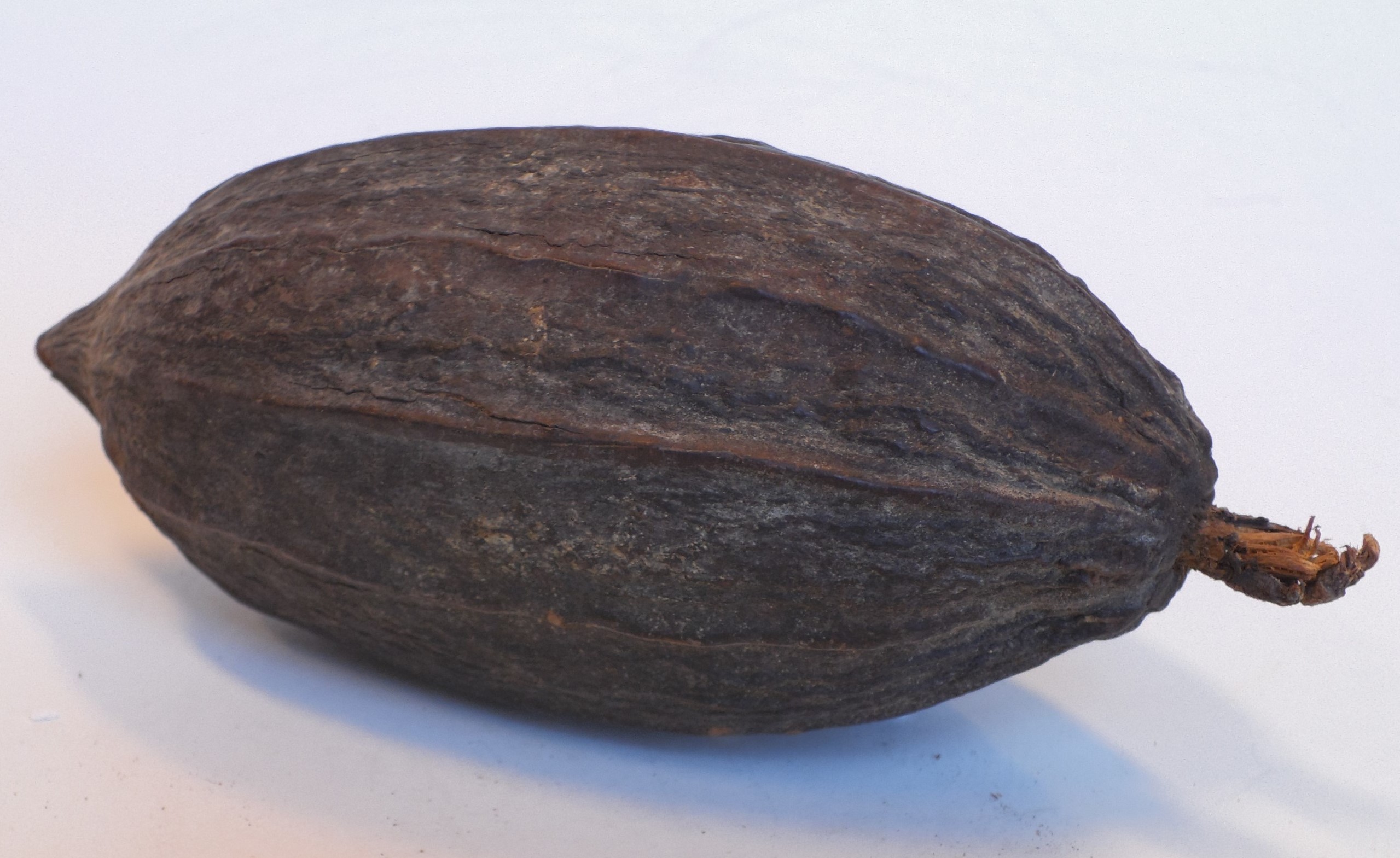 cacaoboon