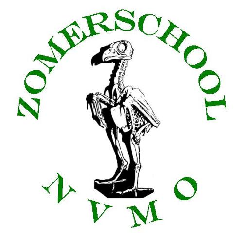 logo Zomerschool